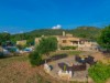 Bild 42