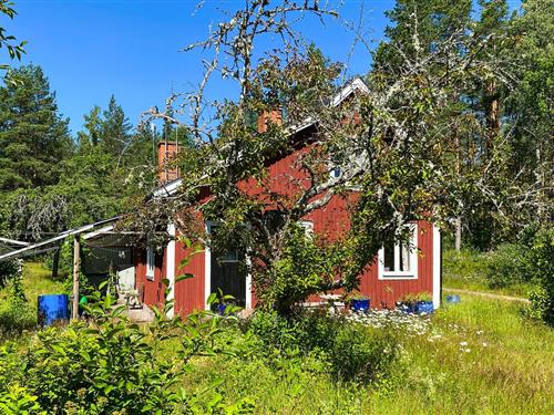 Feriehus / leilighet - 4 personer -  - Grönlid - Alsterbro/Högsby/Nybro - 382 74 - Alsterbro