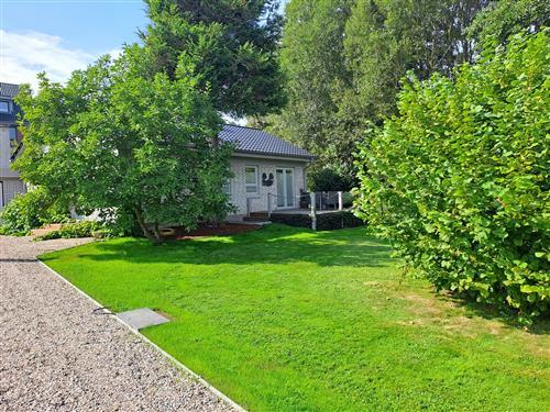 Feriehus - 2 personer -  - Haffwisch - 24960 - Glücksburg