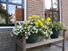 Bild 19