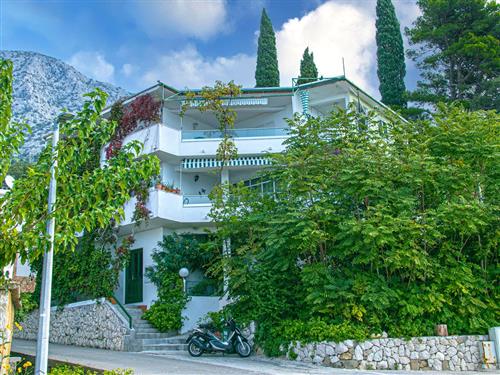 Holiday apartment - 6 persons -  - Živogošce Porat - 21327 - Podgora