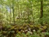 Bild 14