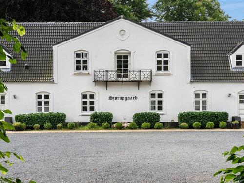 Sommerhus - 12 personer -  - Sjørupgårdvej - Fjellerup - 8581 - Nimtofte