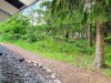 Billede 34 - Grund
