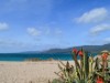 Bilde 10