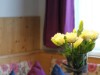 Bilde 31
