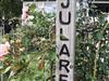 Bild 12 - Ude