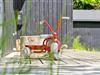 Billede 23 - Terrasse
