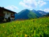 Bild 53