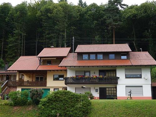 Ferielejlighed - 3 personer -  - Friedhofstr. - 76857 - Gossersweiler-Stein