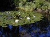 Bild 21 - Ude