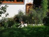 Bilde 5