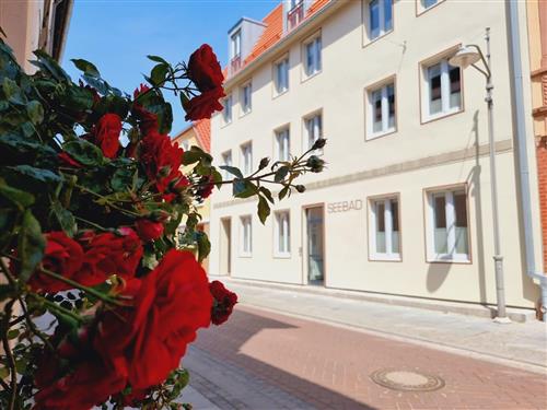 Holiday Home/Apartment - 2 persons -  - Schulstraße - 17373 - Ueckermünde