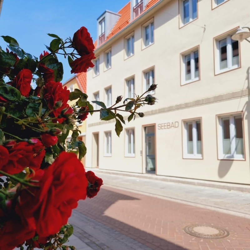 Ferielejlighed - 2 personer -  - Schulstraße - 17373 - Ueckermünde