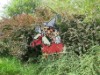 Image 24