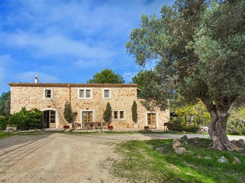 Sommerhus - 8 personer -  - 07320 - Mallorca