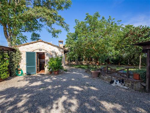 Ferienhaus - 4 Personen -  - Colle Val D'elsa - 53034