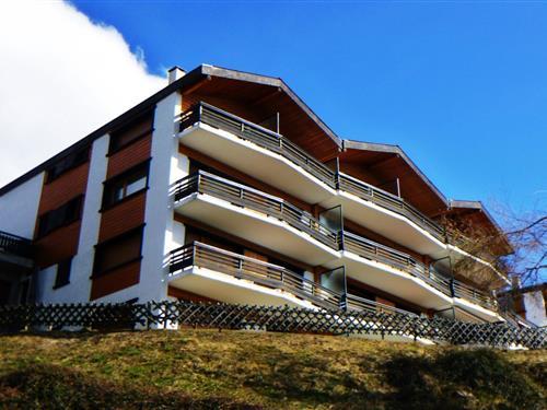 Ferielejlighed - 5 personer -  - 1993 - Veysonnaz