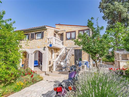 Holiday apartment - 3 persons -  - Kavran - Duga Uvala-Kavran - 52208 - Krnica