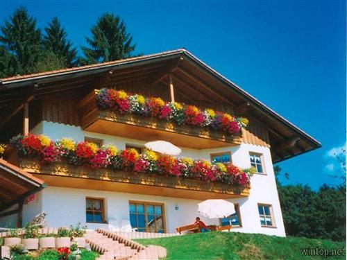 Ferielejlighed - 4 personer -  - Birkenweg - 94227 - Lindberg