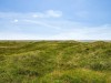 Billede 21 - Grund