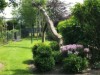 Bild 16