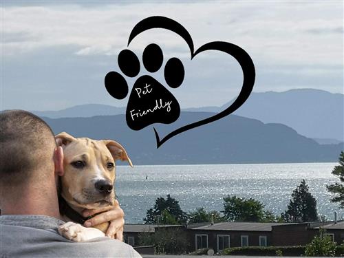 Ferieleilighet - 2 personer -  - Manerba - 25080