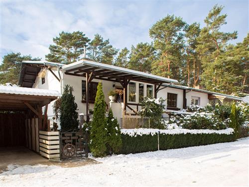 Ferieleilighet - 3 personer -  - Caspar-David-Friedrich-Straße - 17509 - Lubmin