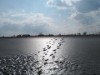 Bild 24