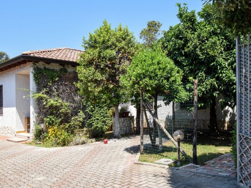 Sommerhus - 6 personer -  - Via dei Pini - 04019 - Terracina