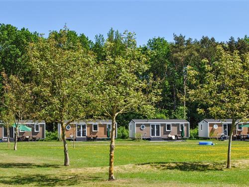 Mobilehome - 6 personer -  - Bosweg - 9423 TA - Hoogersmilde