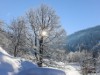 Bilde 27