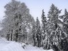 Bild 20 - Ort