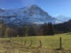 Bilde 44 - Ude