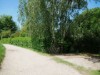 Bilde 36