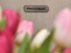 Bild 22
