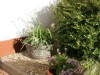 Bild 15