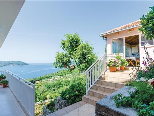 Sommerhus - 4 personer -  - Na Krstu - Dubrovnik-Orasac - 20235 - Orasac