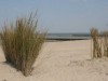 Bild 32
