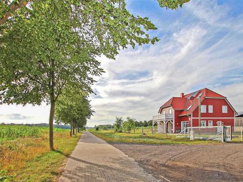 Ferienwohnung - 2 Personen -  - Groß Quassow - 17237 - Userin