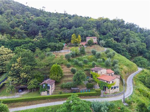 Ferienhaus - 7 Personen -  - Pescia - 51010