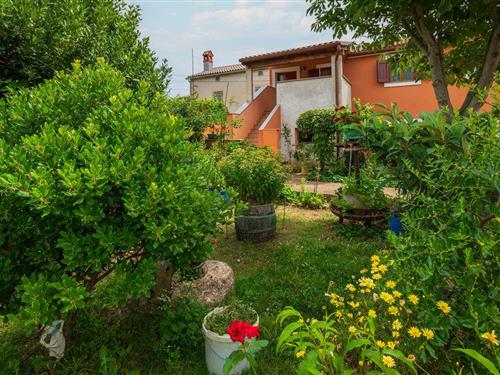 Holiday apartment - 6 persons -  - Ulica Franje Mosnja - Pula - Sisan - 52204 - Sisan