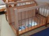 Bild 13
