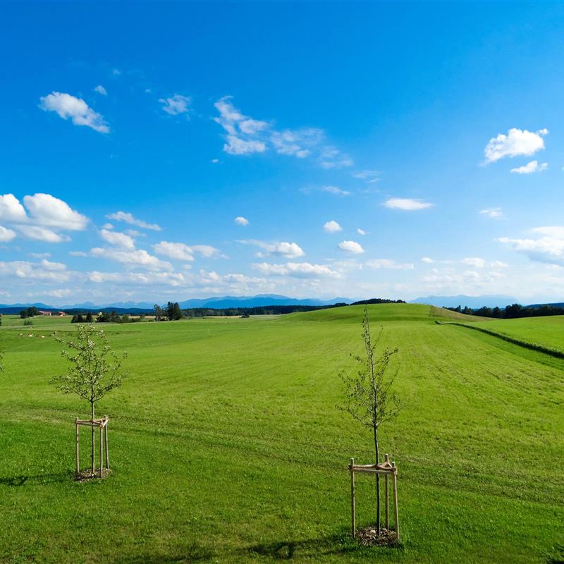 Ferielejlighed - 2 personer -  - Kreuzbergweg - 82544 - Egling