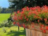 Image 90 - Outside
