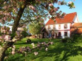 Objekt Nr.: 530-478699