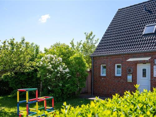 Ferieleilighet - 4 personer -  - Rungholtstraße - 25938 - Wyk Auf Föhr
