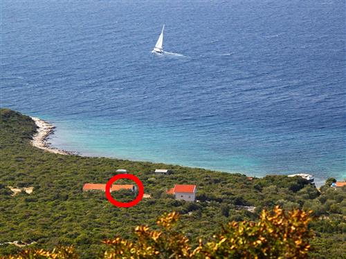 Holiday home - 6 persons -  - Uvala Zuborovica b.b. - 23262 - Pasman