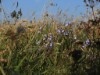 Bild 33