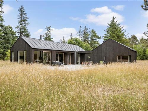 Sommerhus - 6 personer -  - Danielvej - Tversted - 9881 - Bindslev